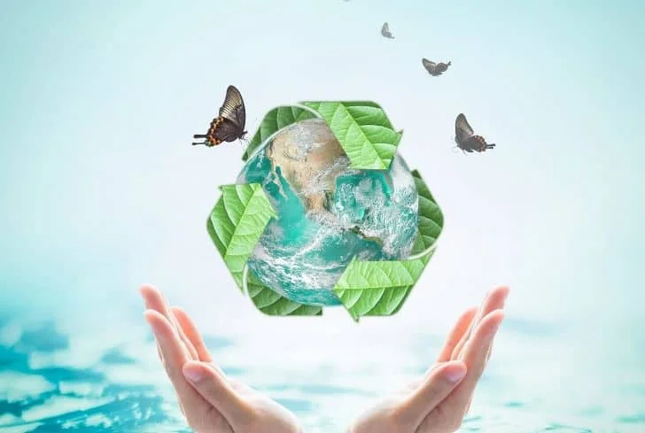Top Eco-Friendly Ideas To Save Electricity And For Organic Living
