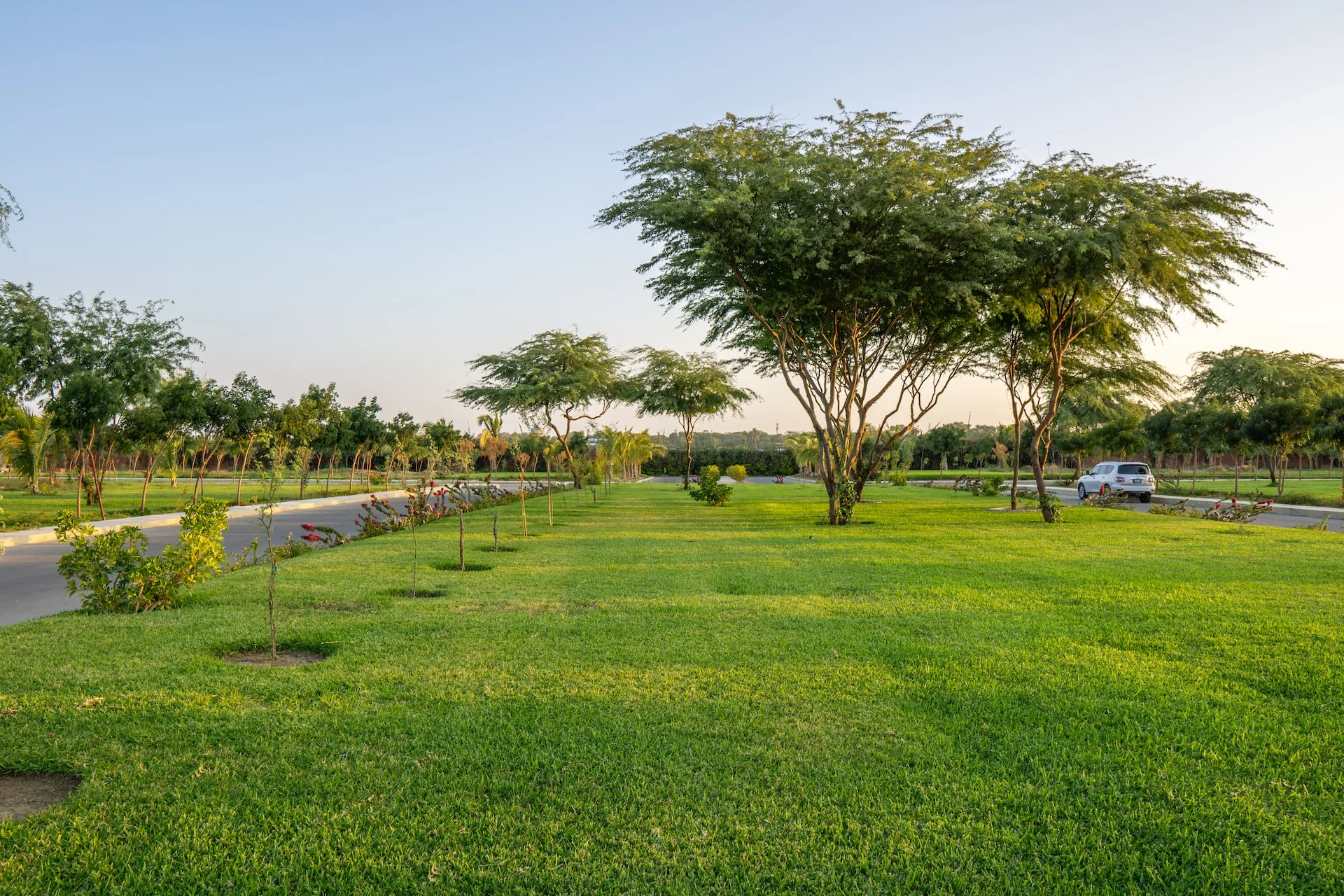Why Living Among Green and Open Spaces is Beneficial